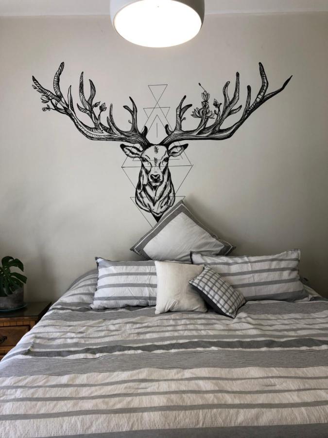 Casa Amores Apartment Kota Meksiko Bagian luar foto