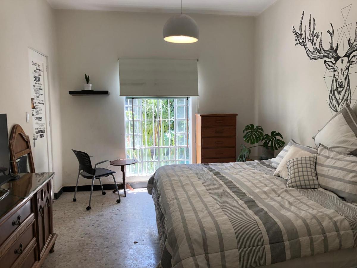 Casa Amores Apartment Kota Meksiko Bagian luar foto