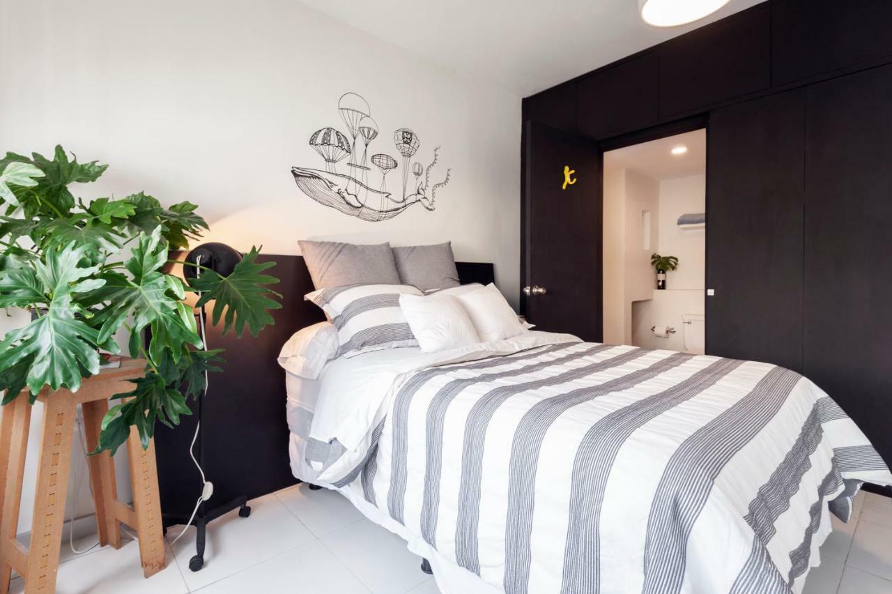 Casa Amores Apartment Kota Meksiko Bagian luar foto